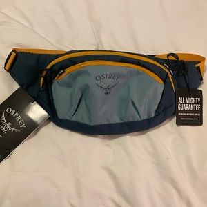 Osprey Daylite Waist Pack NWT Oasis Dream Green/Deep Space